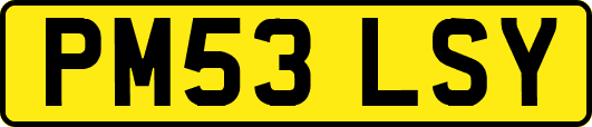 PM53LSY