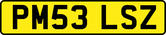 PM53LSZ