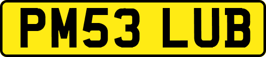 PM53LUB