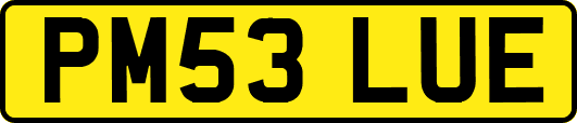 PM53LUE