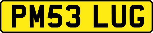 PM53LUG