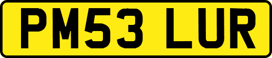 PM53LUR