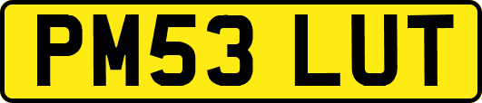 PM53LUT