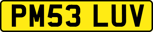PM53LUV