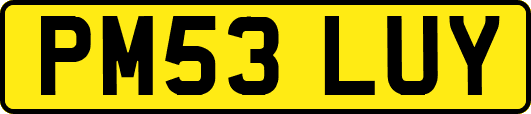PM53LUY