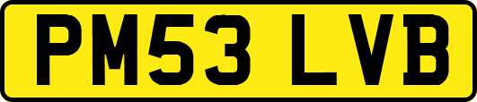 PM53LVB