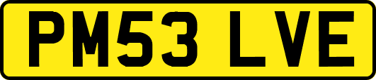 PM53LVE