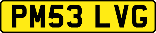 PM53LVG