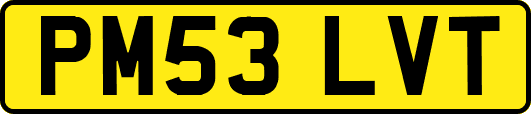 PM53LVT