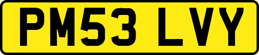 PM53LVY