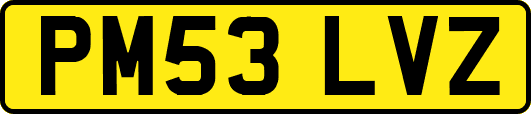 PM53LVZ