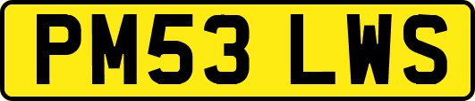 PM53LWS