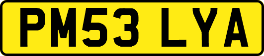 PM53LYA