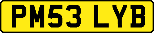 PM53LYB