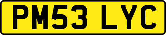 PM53LYC