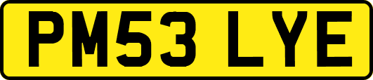 PM53LYE