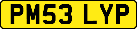 PM53LYP