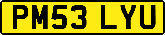 PM53LYU