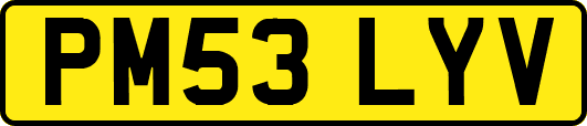 PM53LYV