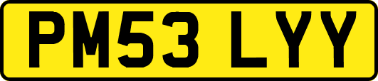 PM53LYY