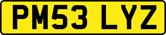PM53LYZ