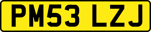 PM53LZJ
