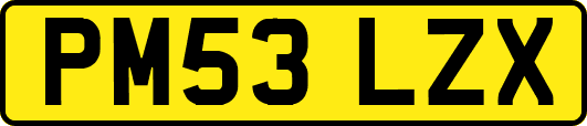 PM53LZX