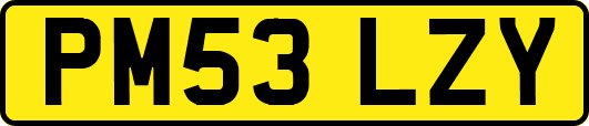 PM53LZY
