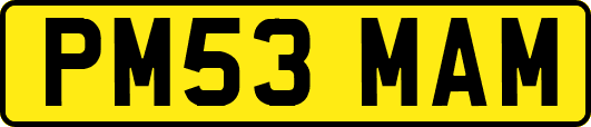PM53MAM