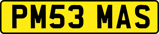 PM53MAS
