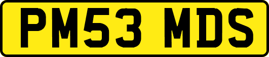 PM53MDS
