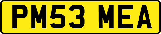 PM53MEA