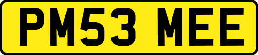 PM53MEE