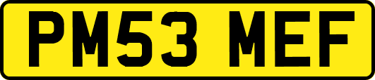 PM53MEF
