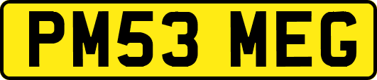 PM53MEG