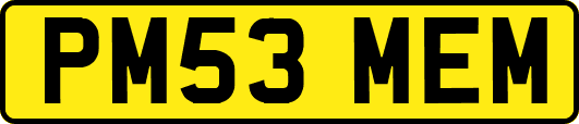 PM53MEM