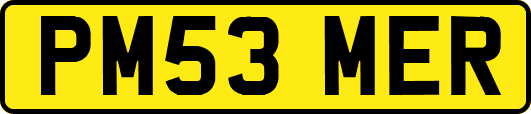 PM53MER