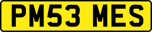PM53MES