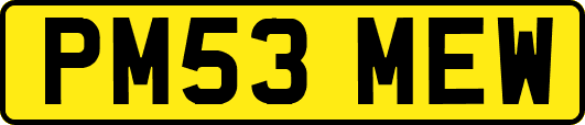 PM53MEW
