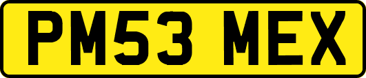 PM53MEX
