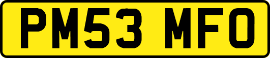 PM53MFO