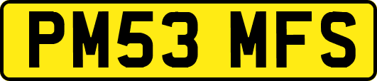 PM53MFS