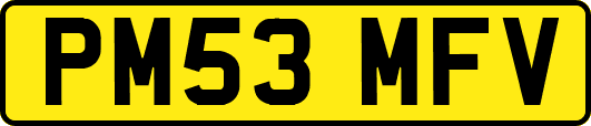 PM53MFV