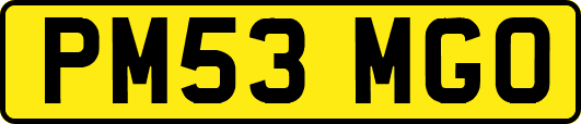 PM53MGO
