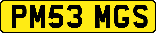 PM53MGS