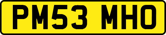 PM53MHO