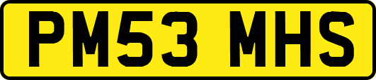 PM53MHS
