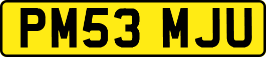 PM53MJU