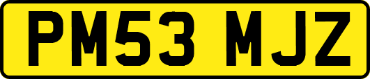 PM53MJZ