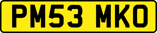 PM53MKO